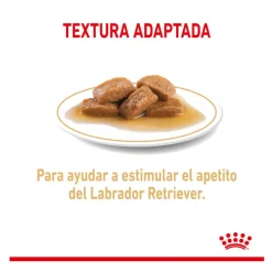 Royal Canin Labrador Sobres para perros