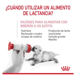 Royal Canin Leche para gatitos primer año Discount