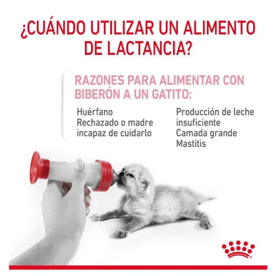 Royal Canin Leche para gatitos primer año Discount
