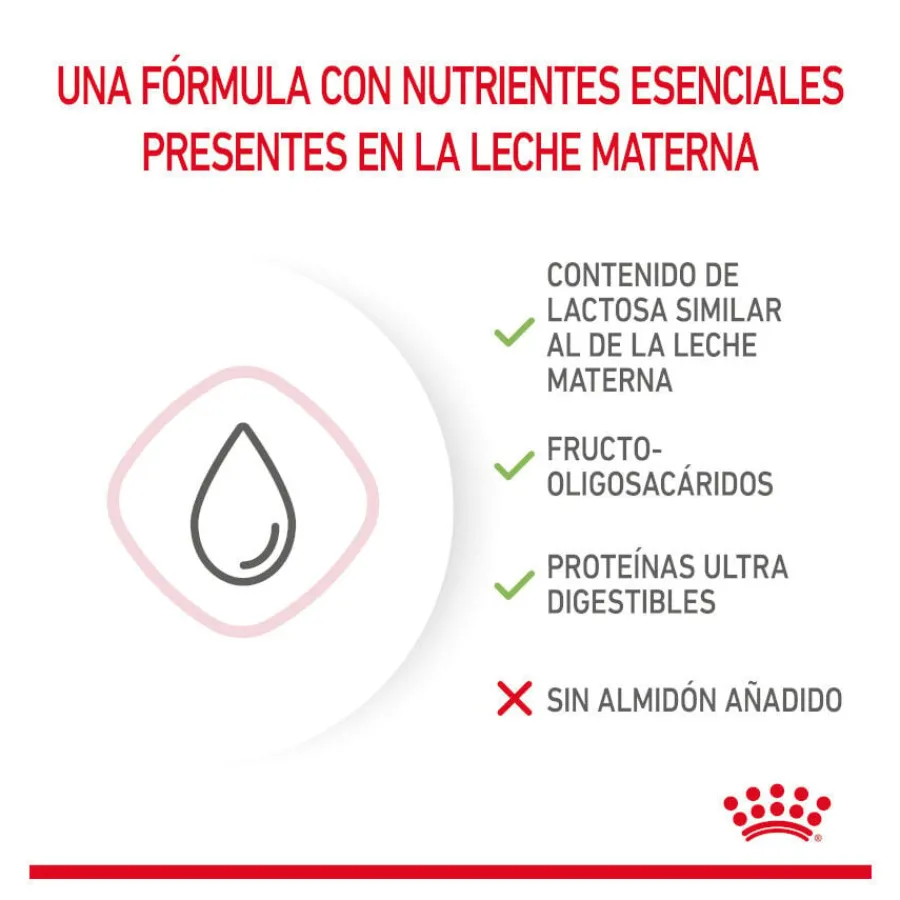 Royal Canin Leche para gatitos primer año Discount