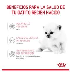 Royal Canin Leche para gatitos primer año Discount