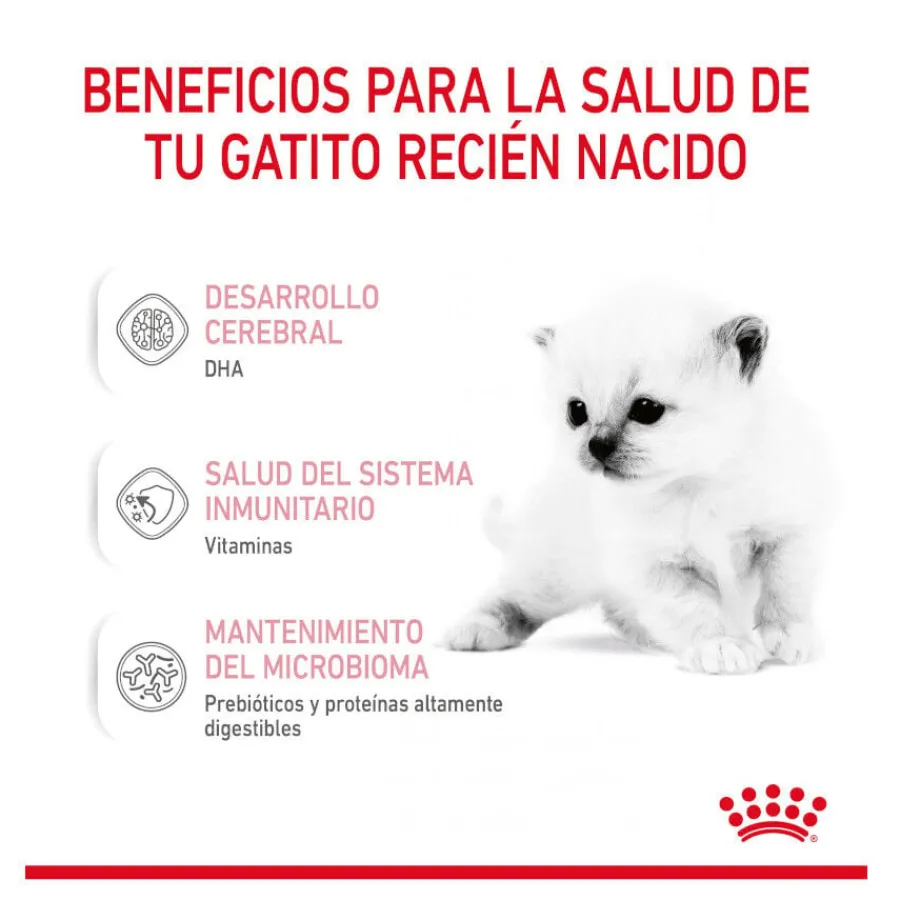 Royal Canin Leche para gatitos primer año Discount