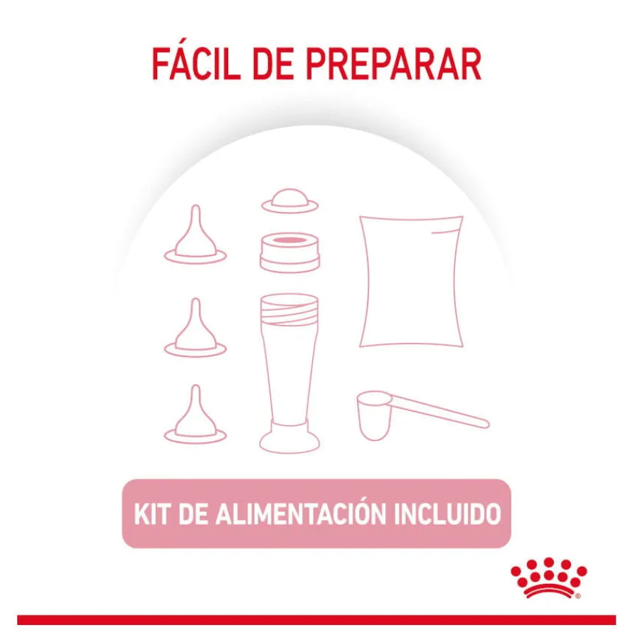 Royal Canin Leche para gatitos primer año Discount