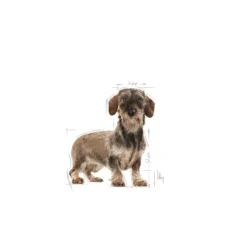 Royal Canin Light Weight Care X-Small pienso para perros Clearance