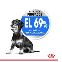 Royal Canin Light Weight Care X-Small pienso para perros Clearance