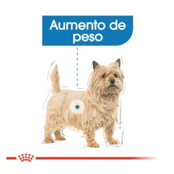 Royal Canin Light Weight Care Sobres Paté para perros Online
