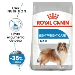 Royal Canin Light Weight Care Maxi pienso para perros Sale