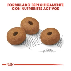 Royal Canin Light Weight Care Maxi pienso para perros Sale