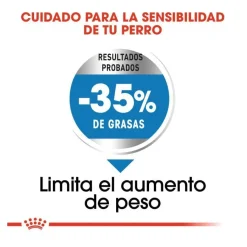 Royal Canin Light Weight Care Maxi pienso para perros Sale
