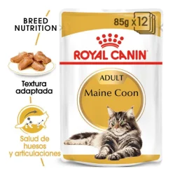 Royal Canin Maine Coon sobres para gatos