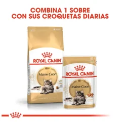 Royal Canin Maine Coon sobres para gatos