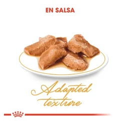 Royal Canin Maine Coon sobres para gatos