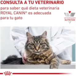 Royal Canin Mature Consult Láminas en Salsa Sobre para gatos Clearance