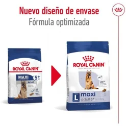 Royal Canin Maxi Adult 5+ pienso para perros senior de raza grande Sale