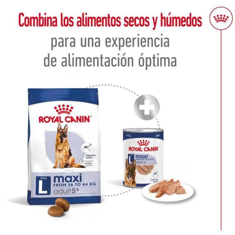 Royal Canin Maxi Adult 5+ pienso para perros senior de raza grande Sale