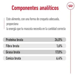 Royal Canin Maxi Adult 5+ pienso para perros senior de raza grande Sale