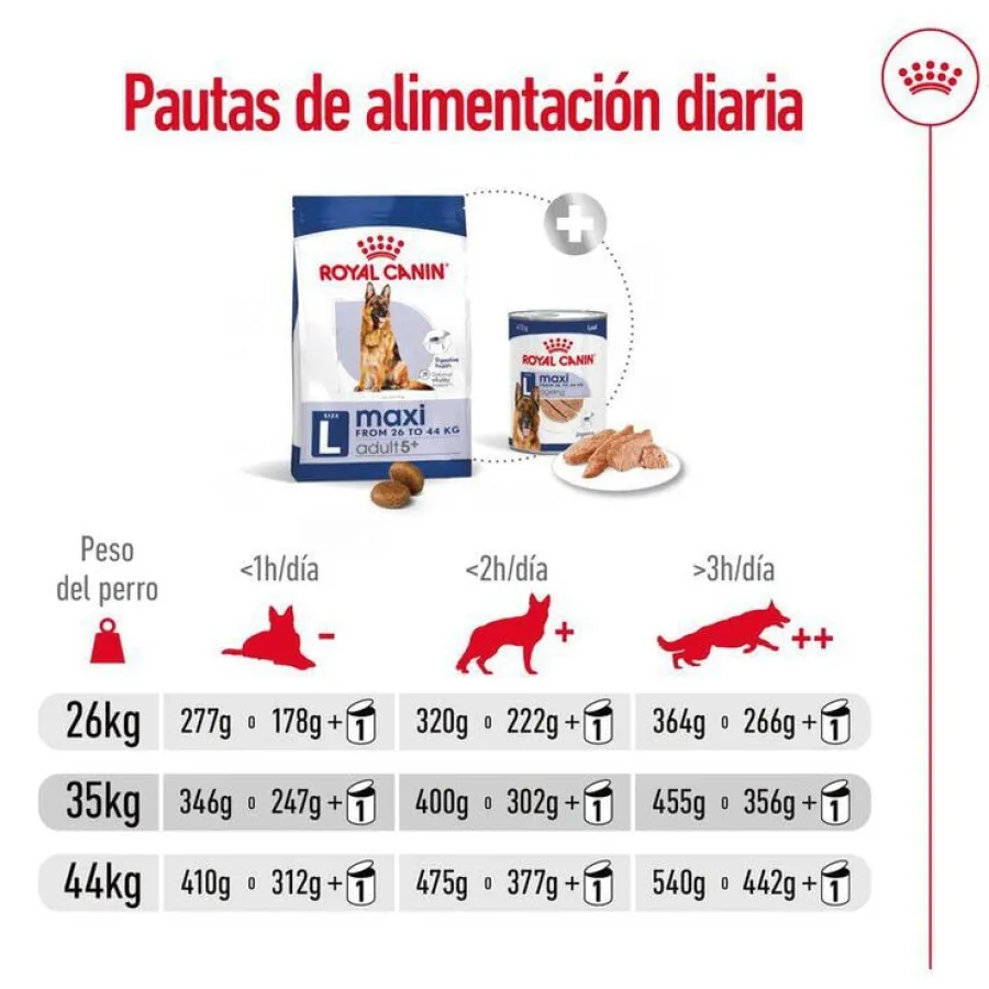 Royal Canin Maxi Adult 5+ pienso para perros senior de raza grande Sale