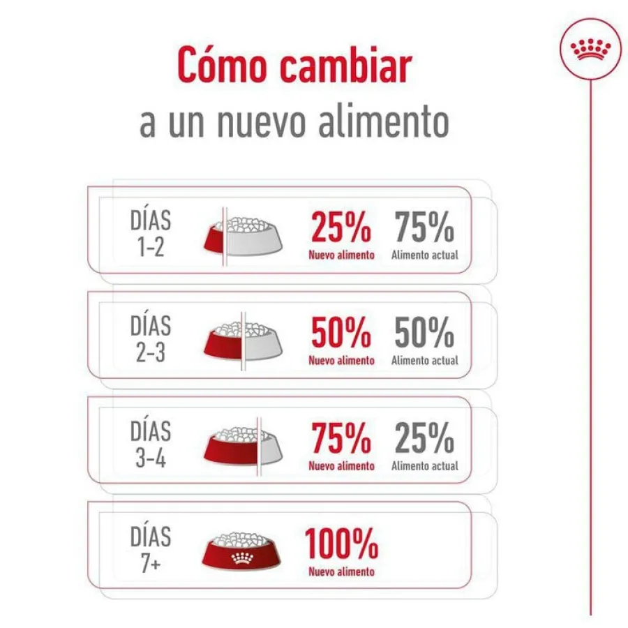 Royal Canin Maxi Adult 5+ pienso para perros senior de raza grande Sale