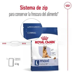 Royal Canin Maxi Adult 5+ pienso para perros senior de raza grande Sale