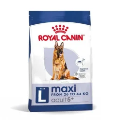Royal Canin Maxi Adult 5+ pienso para perros senior de raza grande Sale
