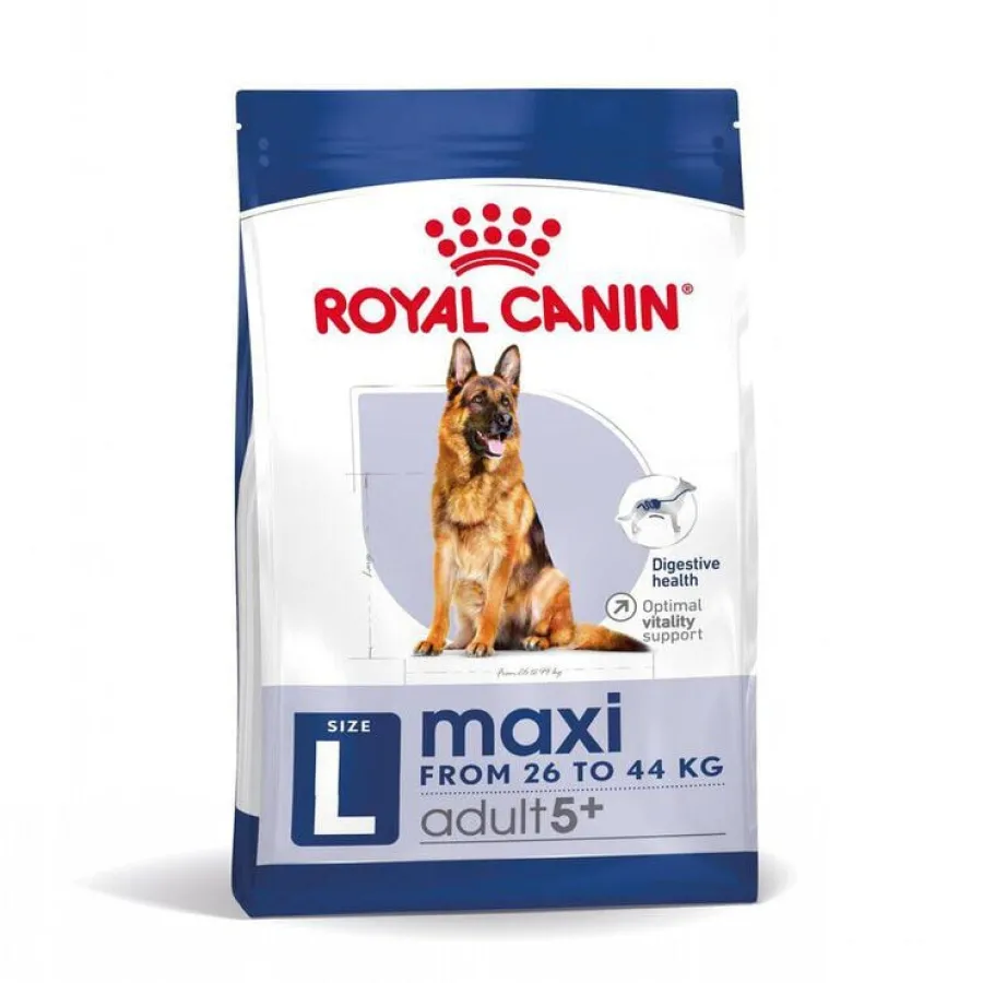 Royal Canin Maxi Adult 5+ pienso para perros senior de raza grande Sale