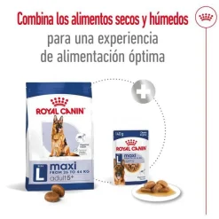 Royal Canin Maxi Adult 5+ pienso para perros senior de raza grande Sale