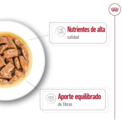 Royal Canin Maxi Adult Carne sobre en salsa para perros New
