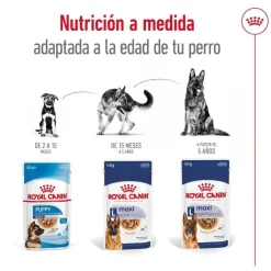 Royal Canin Maxi Adult Carne sobre en salsa para perros New