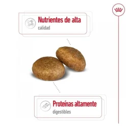 Royal Canin Maxi Adult pienso para perros New