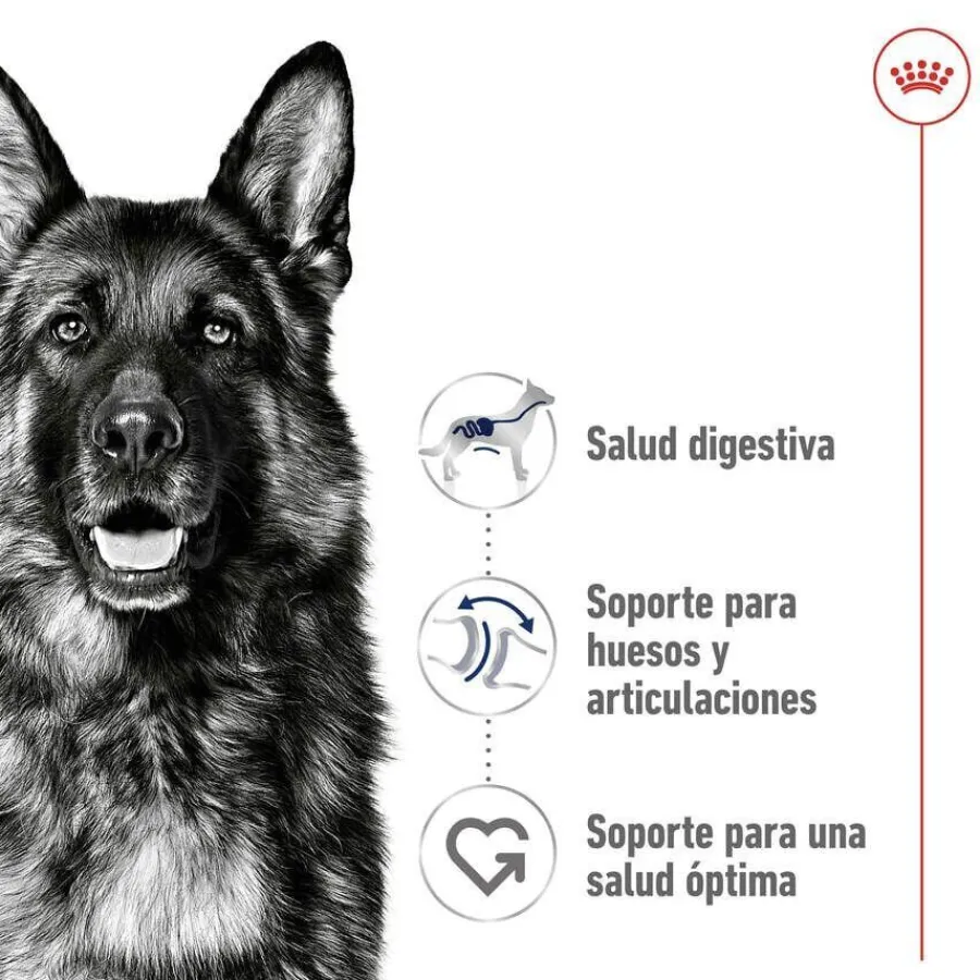 Royal Canin Maxi Adult pienso para perros New