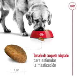 Royal Canin Maxi Adult pienso para perros New