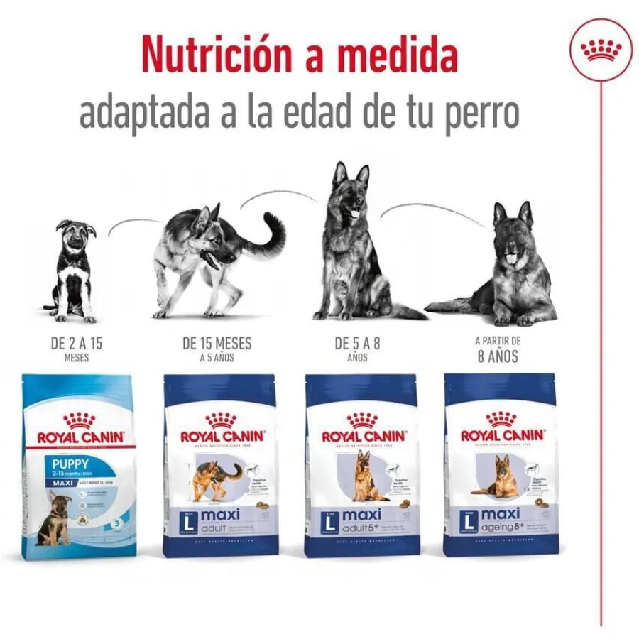 Royal Canin Maxi Adult pienso para perros New