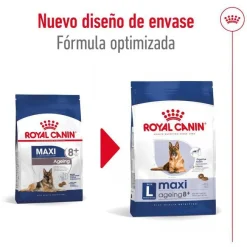 Royal Canin Maxi Ageing 8+ pienso para perros