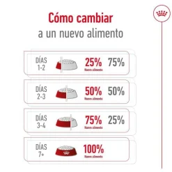 Royal Canin Maxi Ageing 8+ pienso para perros
