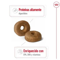 Royal Canin Maxi Ageing 8+ pienso para perros