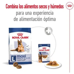 Royal Canin Maxi Ageing 8+ pienso para perros