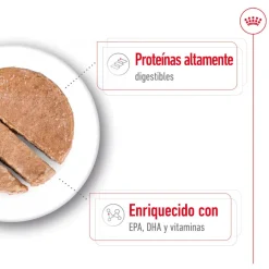 Royal Canin Maxi Ageing 5+ Paté lata para perros Outlet