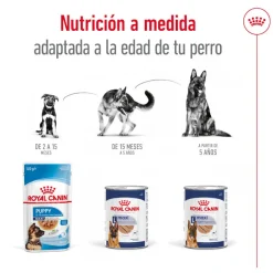 Royal Canin Maxi Ageing 5+ Paté lata para perros Outlet