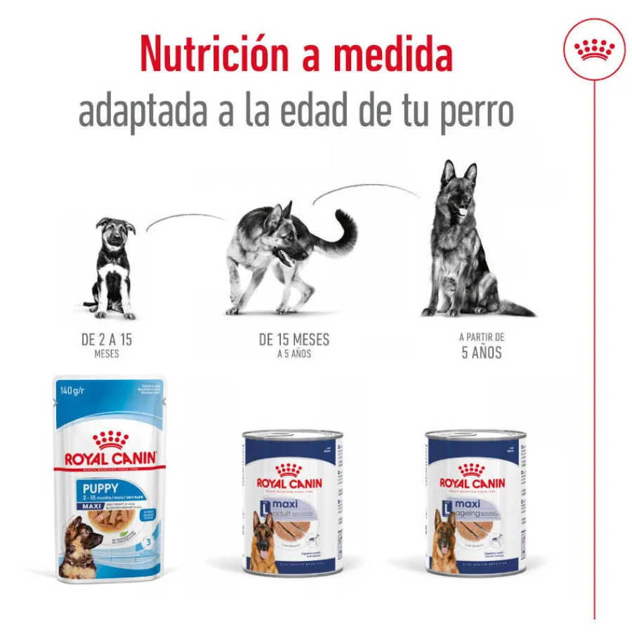 Royal Canin Maxi Ageing 5+ Paté lata para perros Outlet