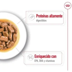 Royal Canin Maxi Ageing sobre en salsa para perros Outlet