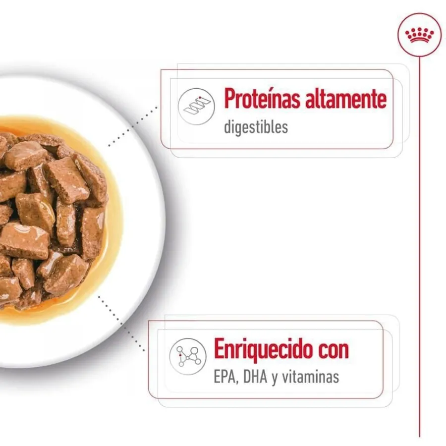 Royal Canin Maxi Ageing sobre en salsa para perros Outlet