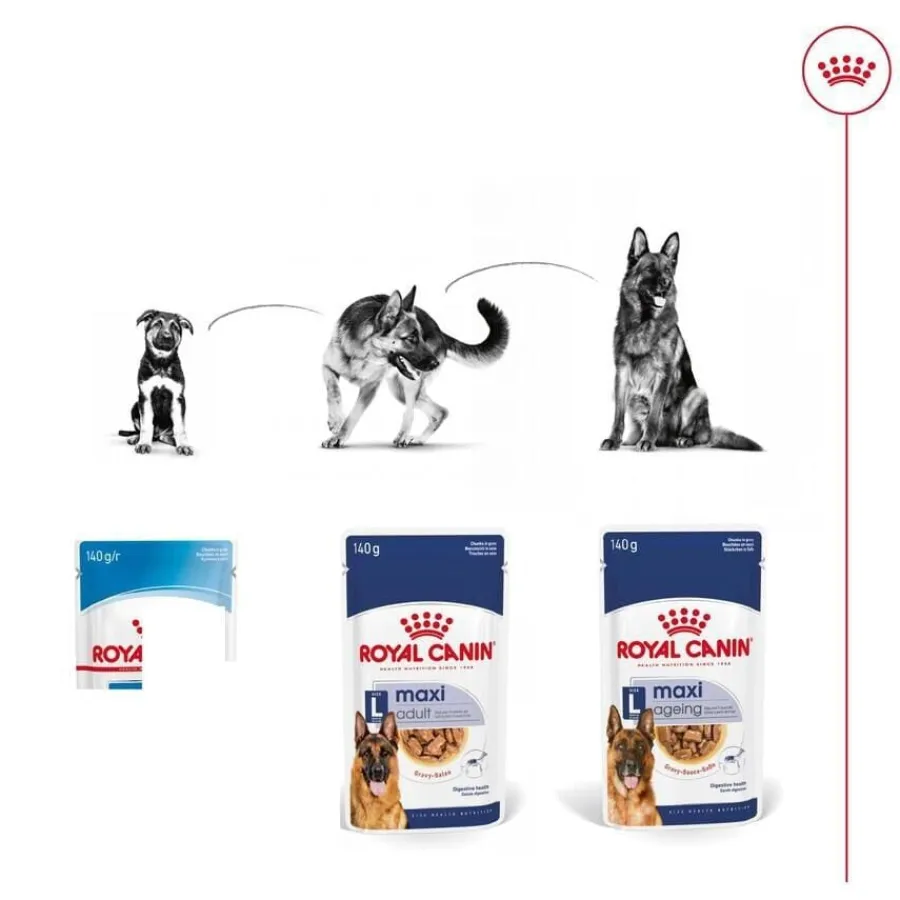 Royal Canin Maxi Ageing sobre en salsa para perros Outlet