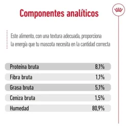 Royal Canin Maxi Ageing sobre en salsa para perros Outlet