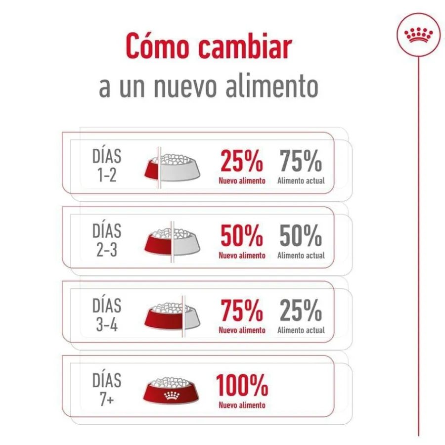 Royal Canin Medium 7+ Adult pienso para perros senior Online