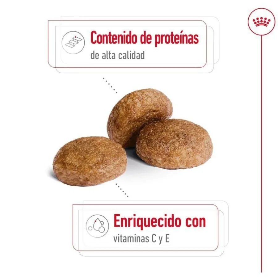 Royal Canin Medium 7+ Adult pienso para perros senior Online