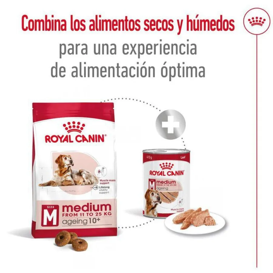 Royal Canin Medium 10+ Ageing pienso para perros Sale