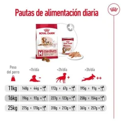 Royal Canin Medium 10+ Ageing pienso para perros Sale