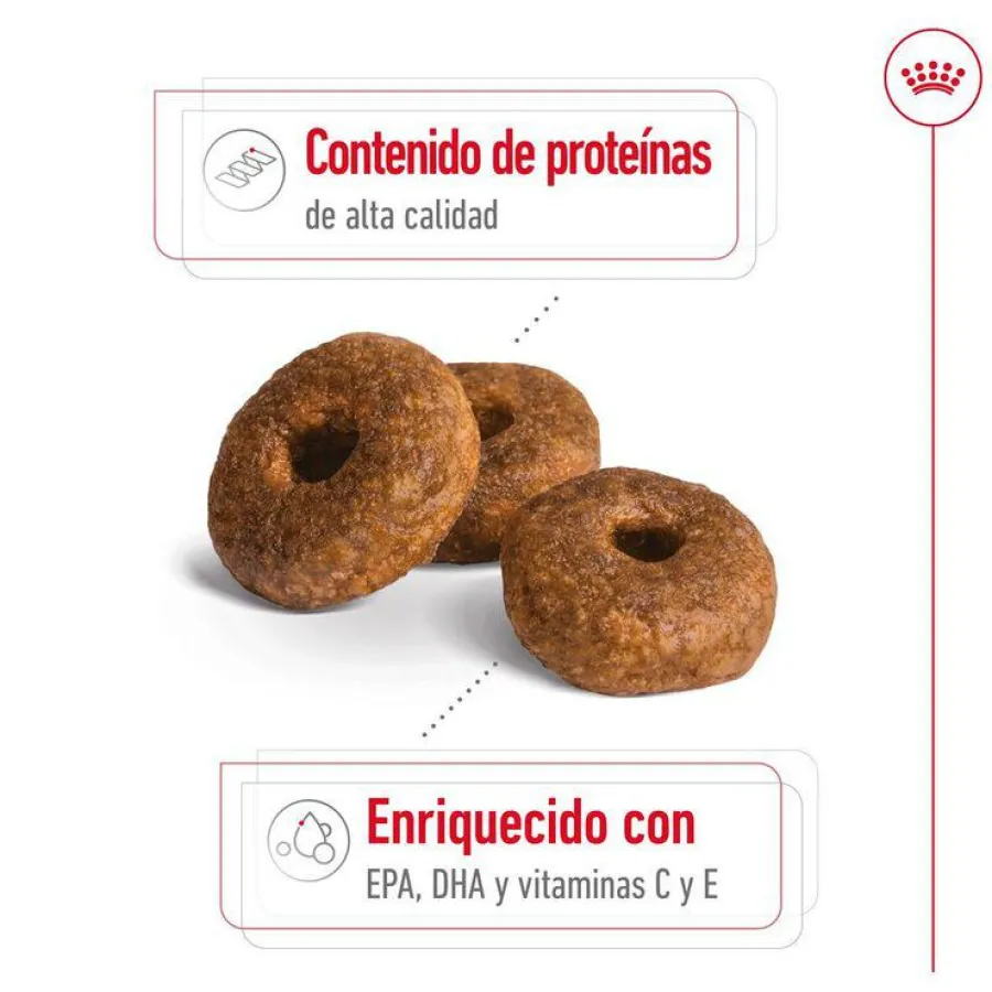 Royal Canin Medium 10+ Ageing pienso para perros Sale