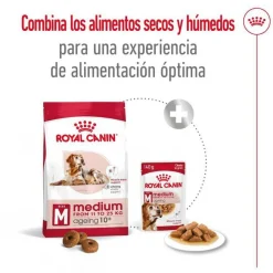 Royal Canin Medium 10+ Ageing pienso para perros Sale
