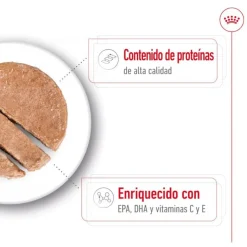 Royal Canin Medium 7+ Ageing lata para perros Clearance